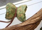 IMG_7885 (Medium)